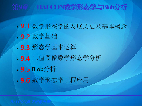 HALCON数字图像处理 第9章 数学形态学