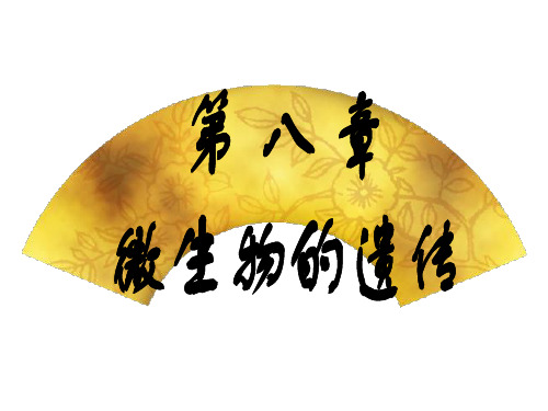 008-1微生物的遗传与变异