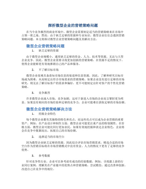 探析微型企业的营销策略问题