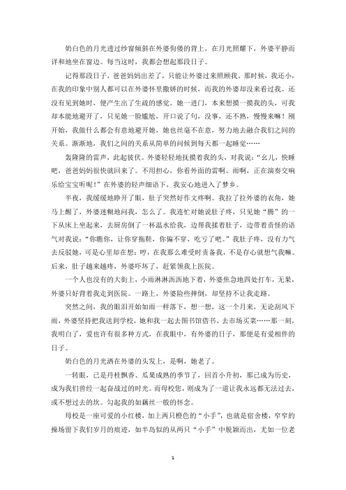 精选优秀作文那段有爱相伴的日子