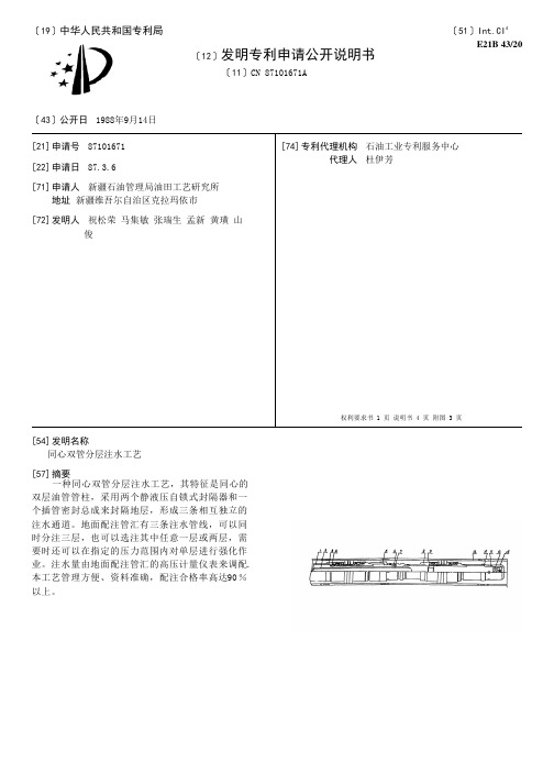 同心双管分层注水工艺[发明专利]