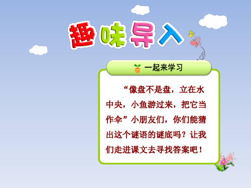 2020年春新版部编版一年级语文下册《13.荷叶圆圆》完结版精品课件