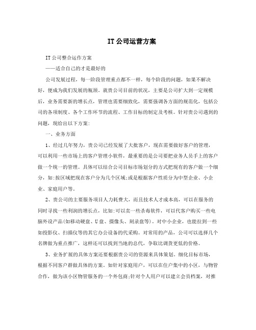 IT公司运营方案