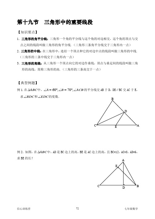 09春季19.三角形中的重要线段