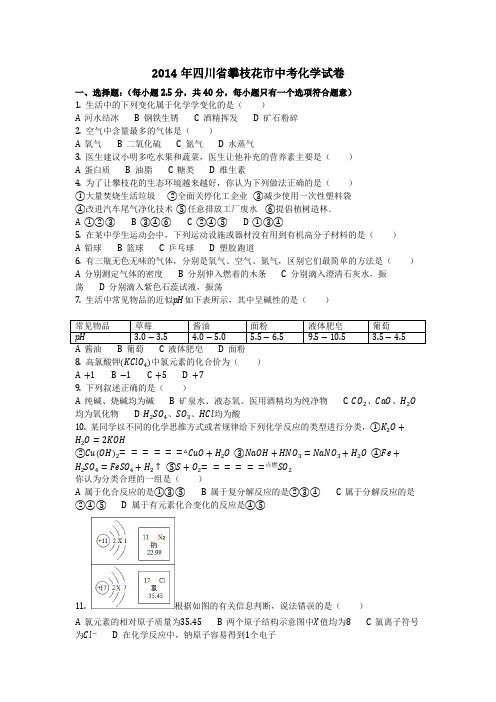 2014年四川省攀枝花市中考化学试卷(化学中考真题含答案)