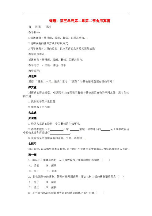 冀教版生物八年级上册《食用真菌》同课异构 精品教案 (1)