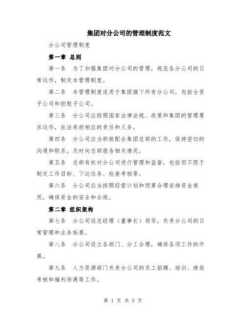 集团对分公司的管理制度范文