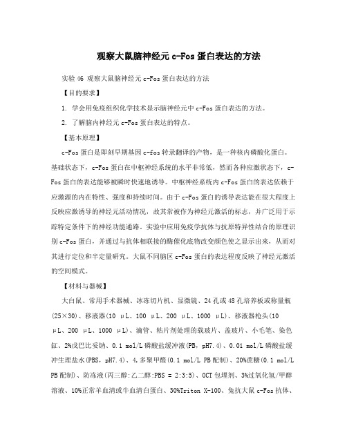 观察大鼠脑神经元c-Fos蛋白表达的方法