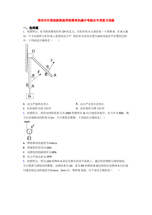 郑州市外国语新枫杨学校简单机械中考综合专项复习训练