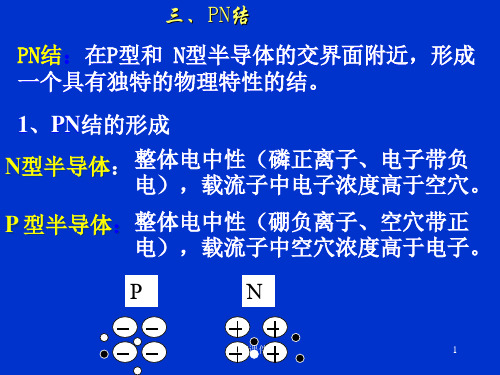 医学影像学-- PN结  ppt课件