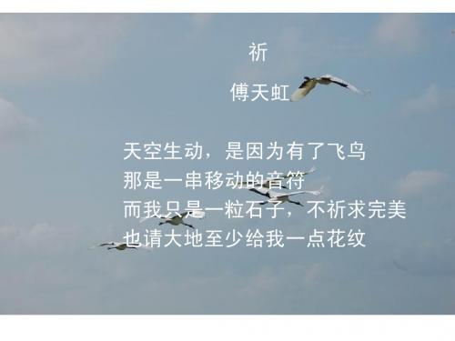 现代诗歌阅读练习