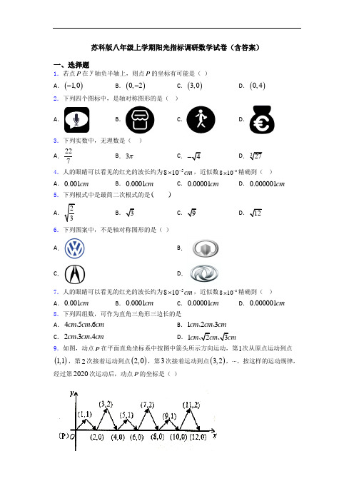 苏科版八年级上学期阳光指标调研数学试卷(含答案)