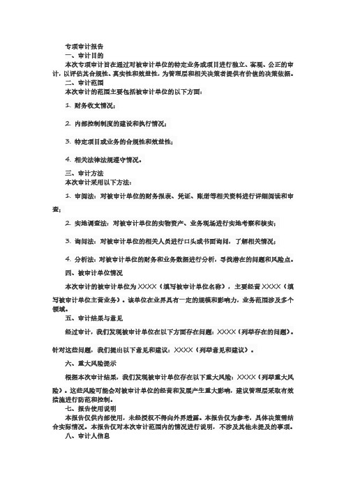 专项审计报告 pdf