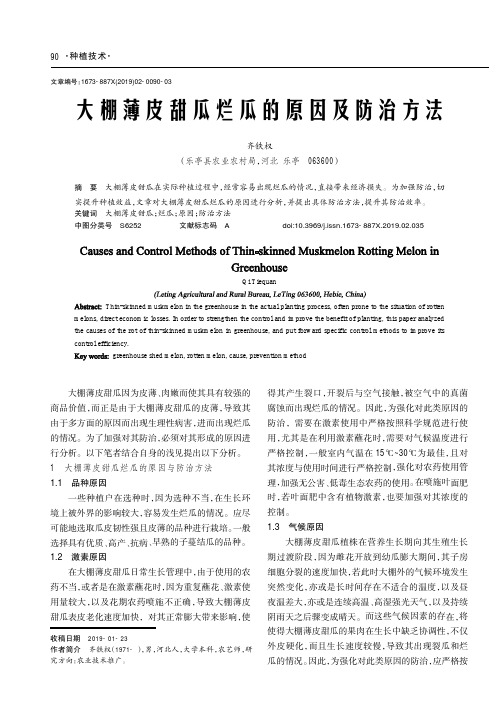 大棚薄皮甜瓜烂瓜的原因及防治方法