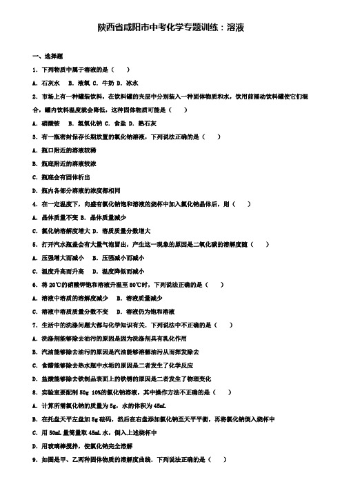 〖含6套中考试卷〗中考化学专题训练 溶液(含解析)