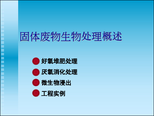 固体废弃物处理系列PPT (1)