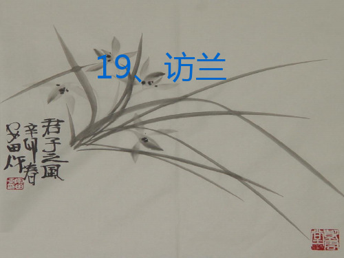 19、访兰---西师大版六年级下册修正版