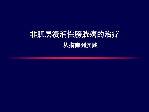 陈山非肌层浸润性膀胱癌的治疗【49页】