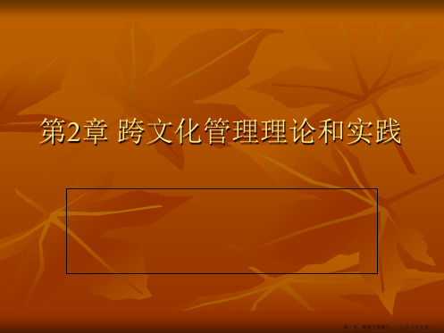 第章跨文化管理理论和实践