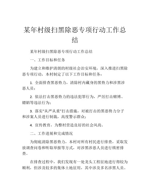 某年村级扫黑除恶专项行动工作总结