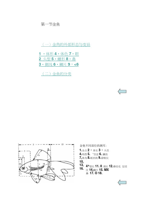 金鱼的形态与种类.