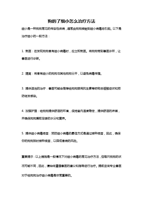 狗的了细小怎么治疗方法