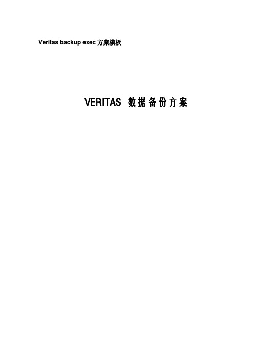 Veritas backup exec方案