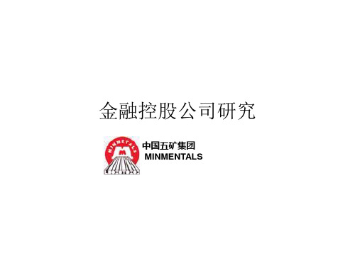 金融控股公司研究