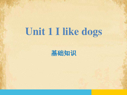 《I like dogs》基础知识PPT