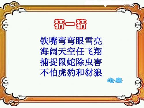 小学语文二年级《小鹰学飞》