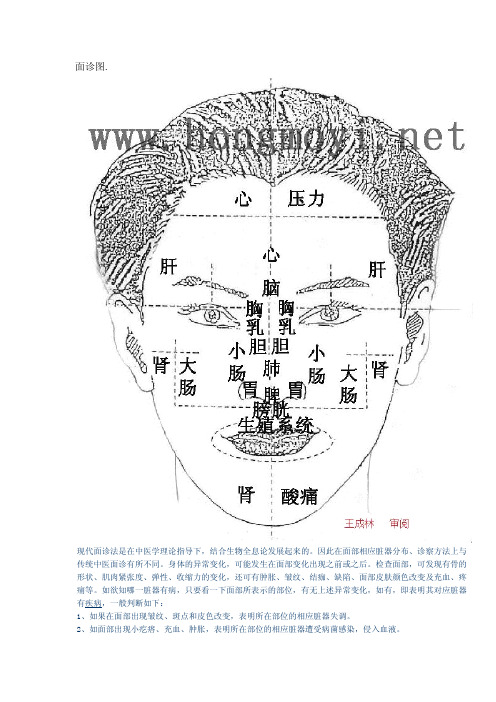 面诊图