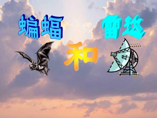人教课标版四年级语文下册第11课《蝙蝠和雷达》PPT课件