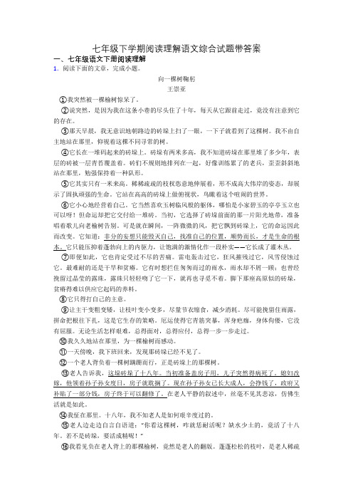 七年级下学期阅读理解语文综合试题带答案