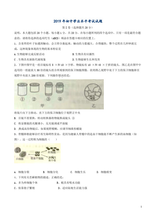 山东省2019年中考生物真题试题(含答案)