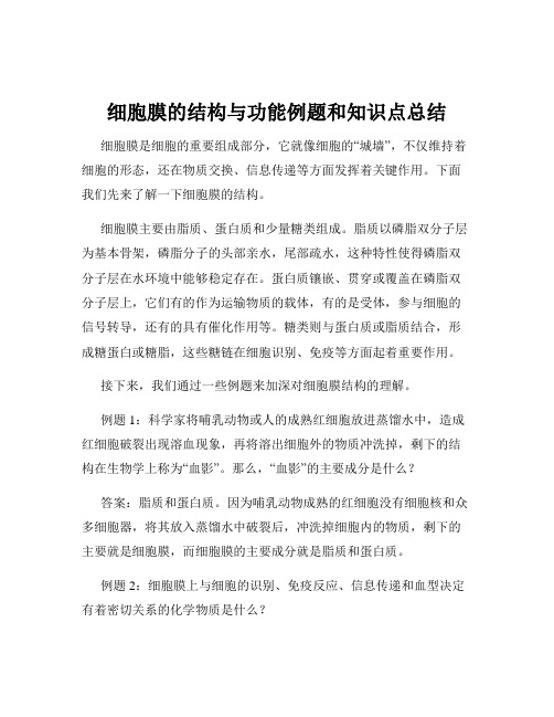 细胞膜的结构与功能例题和知识点总结