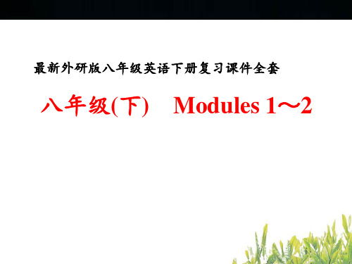 最新外研版八年级英语下册复习全套PPT课件