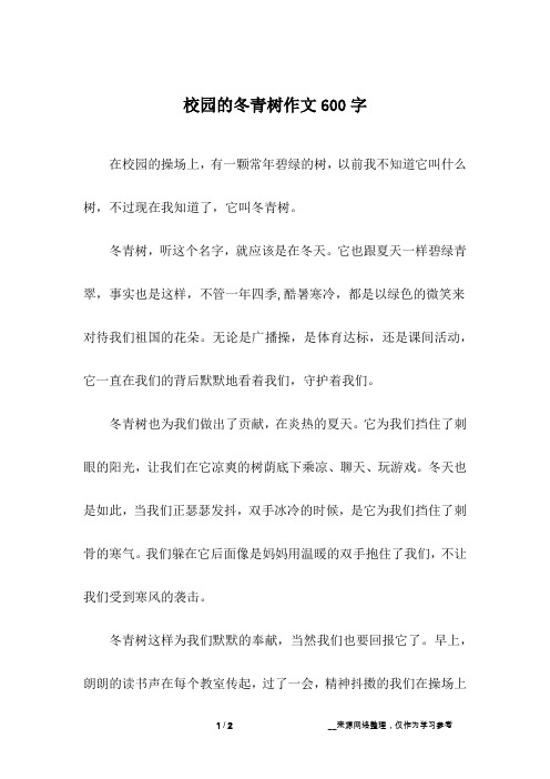 校园的冬青树作文600字