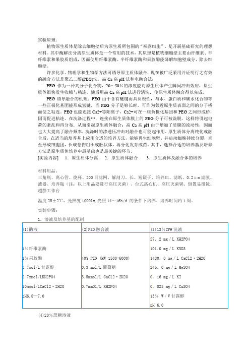 植物原生质体提取培养1