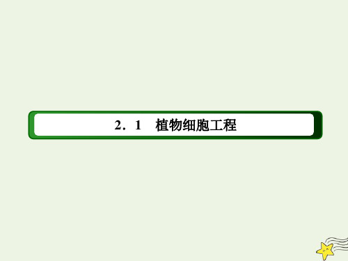 2021学年高中生物专题2细胞工程1_2植物细胞工程的实际应用课件人教版选修3.ppt