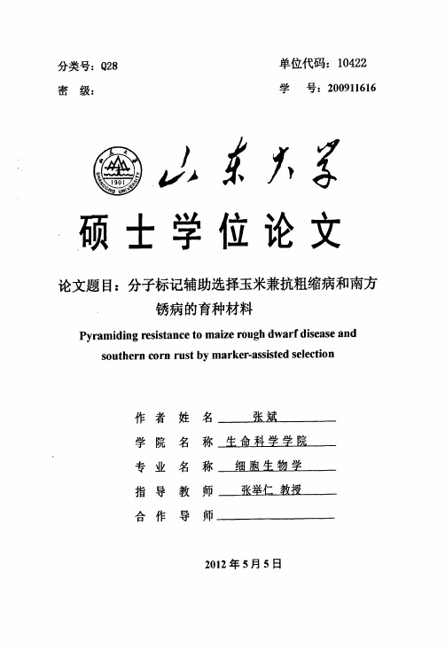 分子标记辅助选择玉米兼抗粗缩病和南方锈病的育种材料