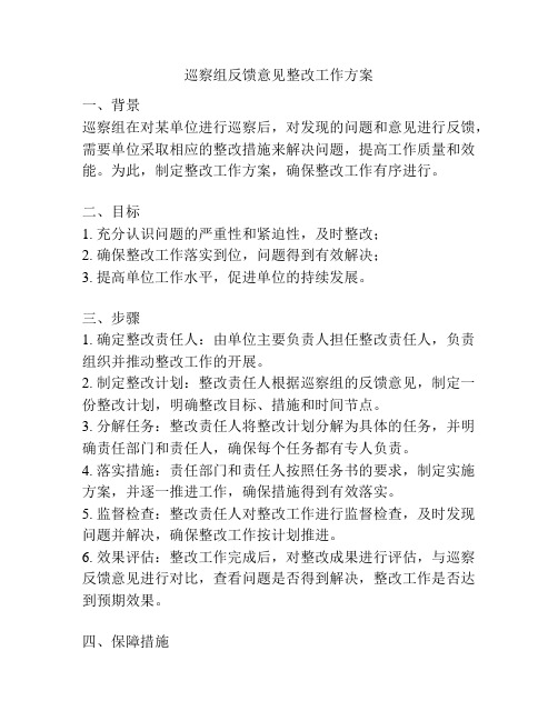 巡察组反馈意见整改工作方案