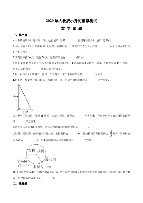 人教版六年级数学小升初冲刺模拟试卷附答案