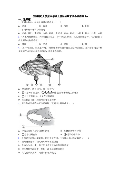 (完整版)人教版八年级上册生物期末试卷及答案doc