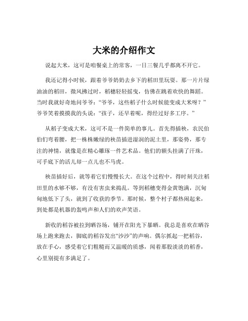 大米的介绍作文