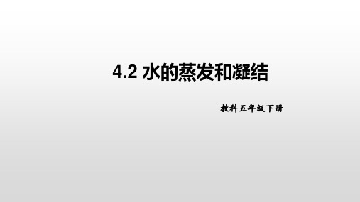 新教科版科学五年级下册4.2水的蒸发和凝结