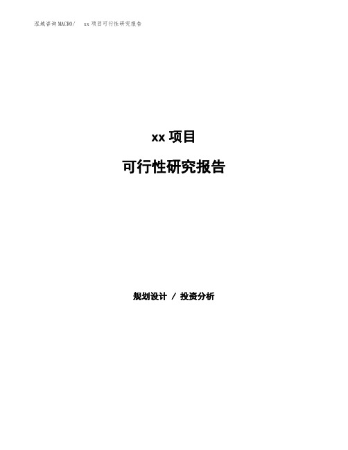 可行性研究报告发改委立项模板