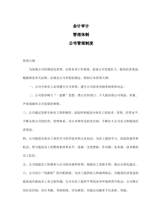 公司会计审计管理制度(doc 20)