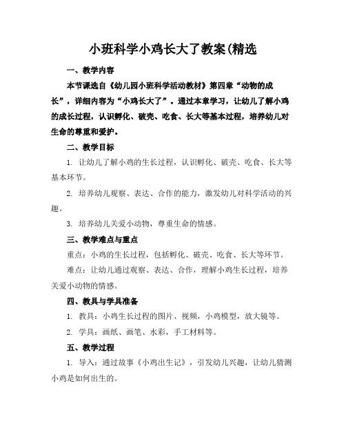 小班科学小鸡长大了教案(精选