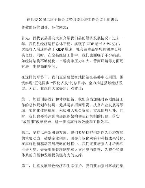 在县委X届二次全体会议暨县委经济工作会议上的讲话