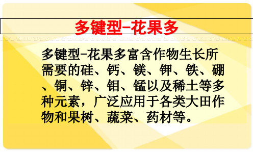 高活性硅钙镁钾肥演示共42页